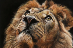 Best in Show (Traditional) Annik Janssens