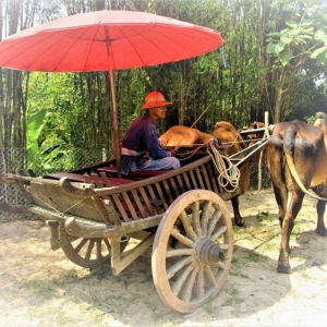 “Summer Along the Mekong”