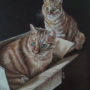 "Chester &amp; Tygar"