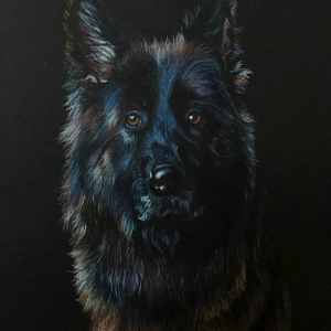 "Doggo's got the blues"