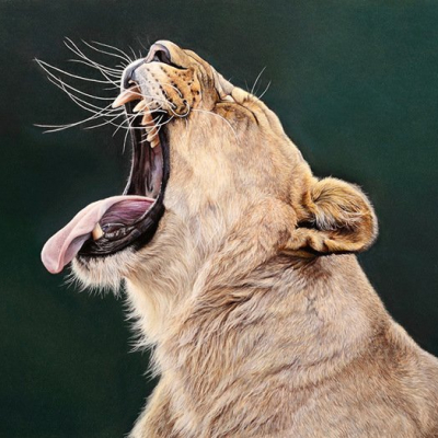 Cecile Carrega - Crga Pastel Animalier