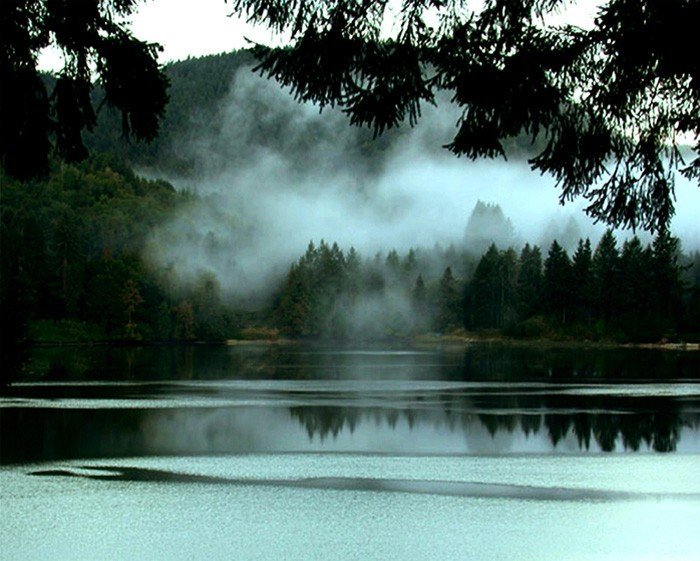 Honorable Mention (Photography &amp; Digital) Kelly J Harvey