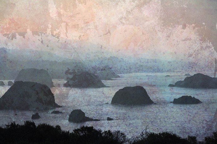 Liz Ruest
