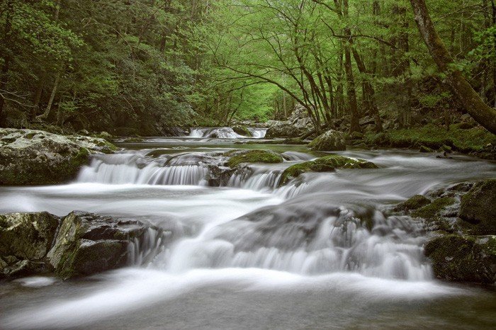 Honorable Mention (Photography &amp; Digital) John Diephouse