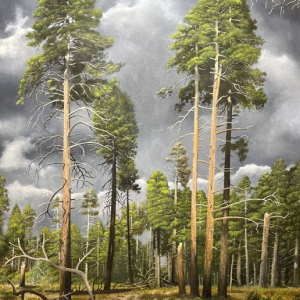 Tim McDavid