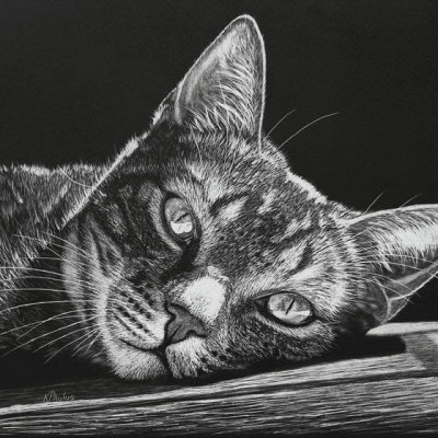 "Basking in the Sun"