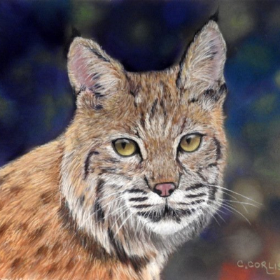 Carol Corliss
