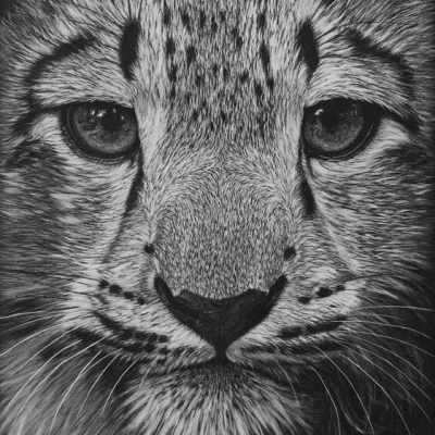“Snow Leopard Pup”