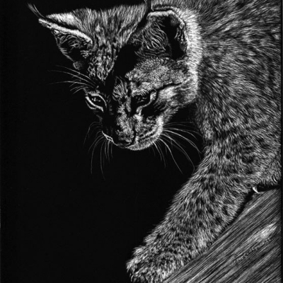 Susan McCulley