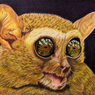 Robin Rudolph