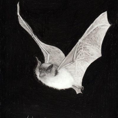 Margit Jean Hammer