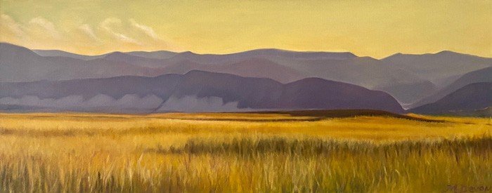 “Amber Fields”