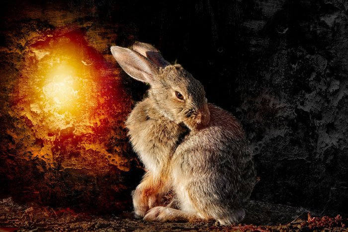 Artistic Excellence(Photography &amp; Digital) Maureen Ravnik