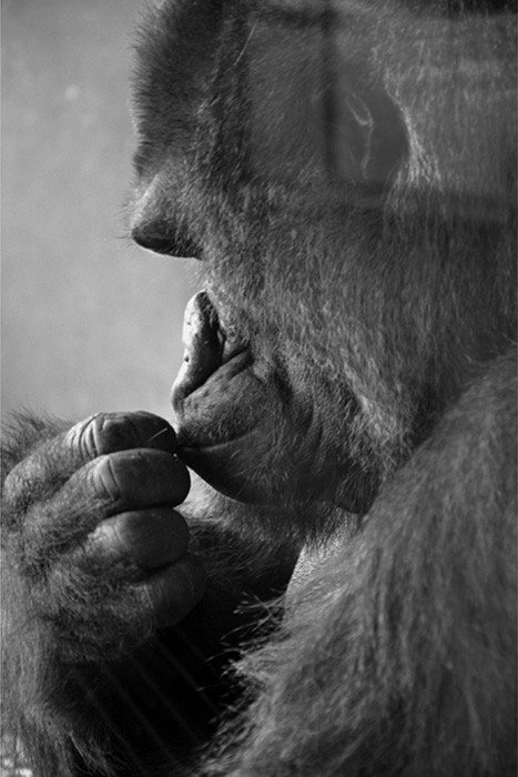 Artistic Excellence(Photography &amp; Digital) Sy Phelan