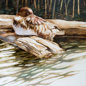 "At Rest"