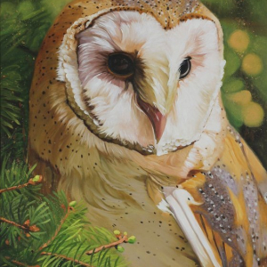 “Barn owl”