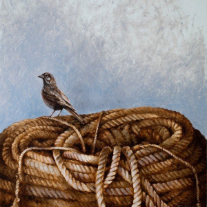 "BIg New Nest"