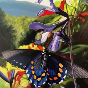 “Blueridge Summer”