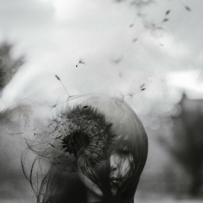 "Spore"