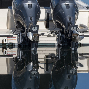 “Quad Horses”