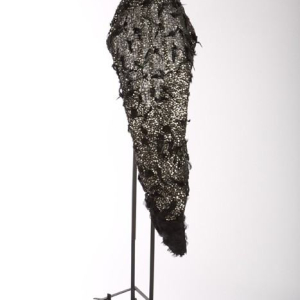 "Chrysalis”
