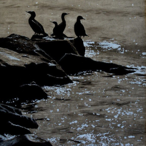 “Cormorants”