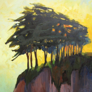 “Cypress in the Sun”