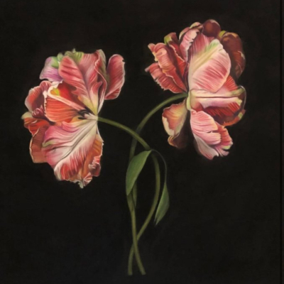 “Dancing Tulips”