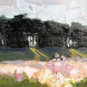 "Davenport Bluffs"