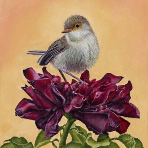 “Juliet”