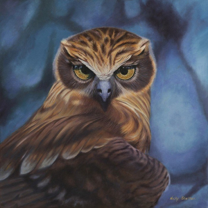 “Stella Boobook Owl”