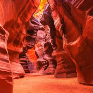 “Canyon Glow”