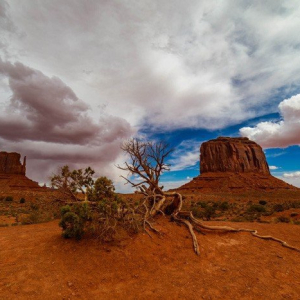 “Desert Storm”