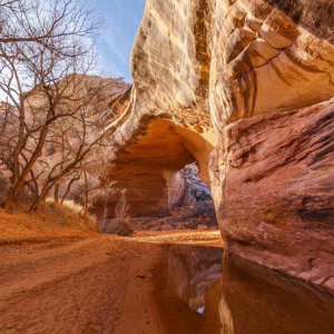 “Lonely Passage”