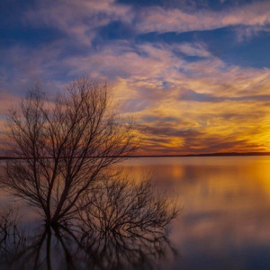 “Silence of Dusk”