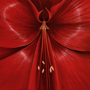 “Exotica”