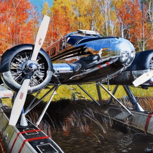 "Fall Splendour"