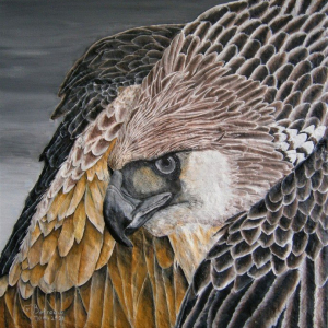“Alertness of the Crowned Eagle 4mp”