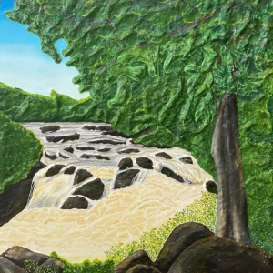“Landscape Rapids”