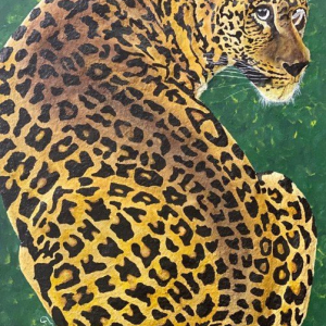 “Perseverance of Leopards”