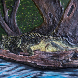 “Semiaquatic South American Crocodiles”