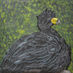 “Unique Life of the Beautiful Black Curassow”
