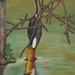 “Rainforest with the Social live of Toco Toucans”