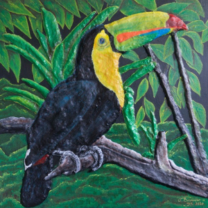 “Relation of the Keel-billed Toucan and the Amazon”
