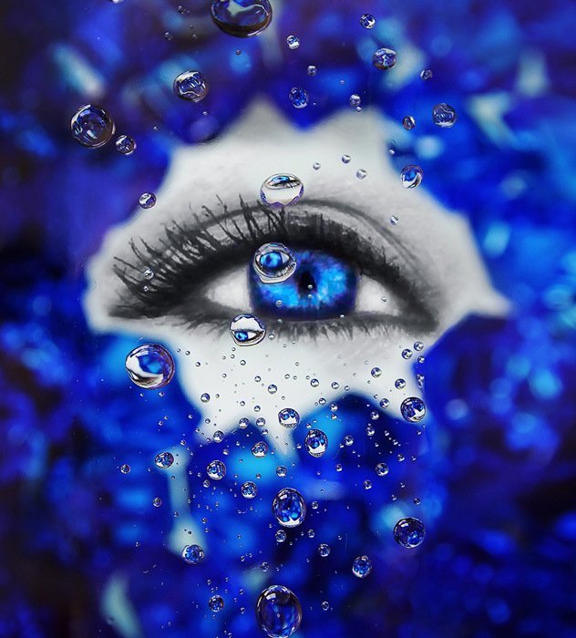 Honorable Mention (Photography &amp; Digital) Elizabeth Hoverman