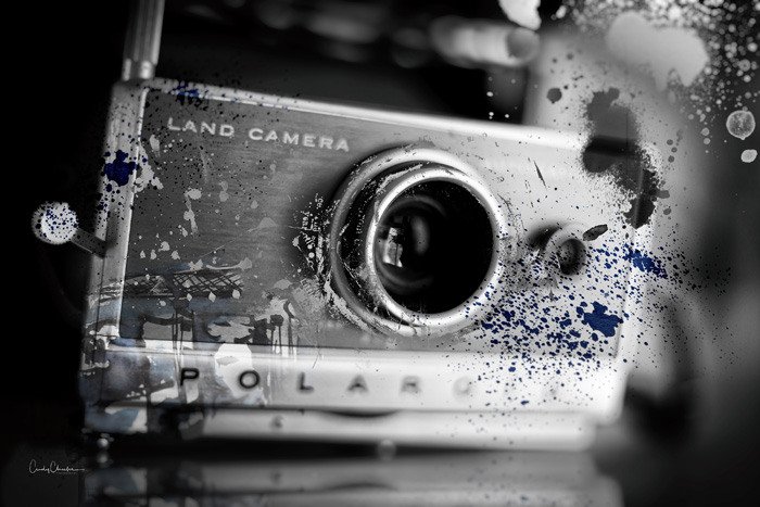 Honorable Mention (Photography &amp; Digital) Cindy Charles