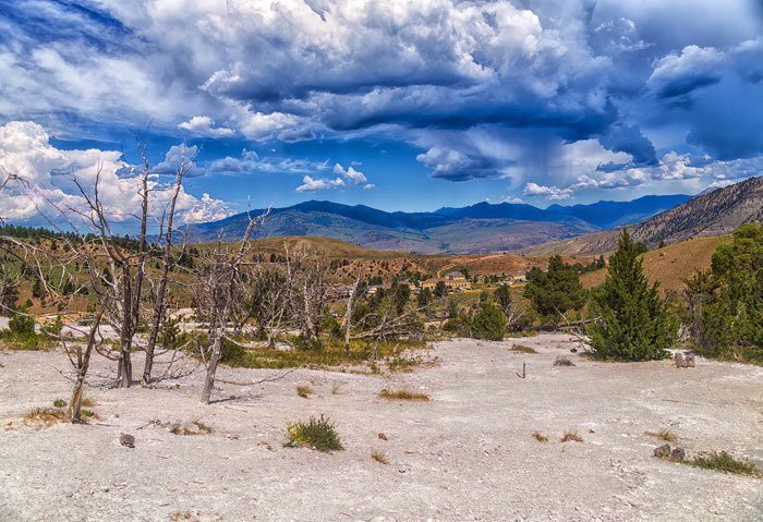 Honorable Mention (Photography &amp; Digital) Robert Bolla
