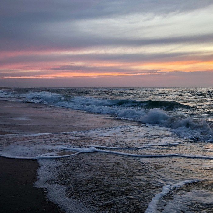 Honorable Mention (Photography &amp; Digital) Diane Liguori