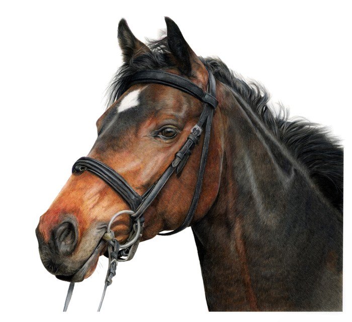 Honorable Mention(Traditional) Lorna Dandy