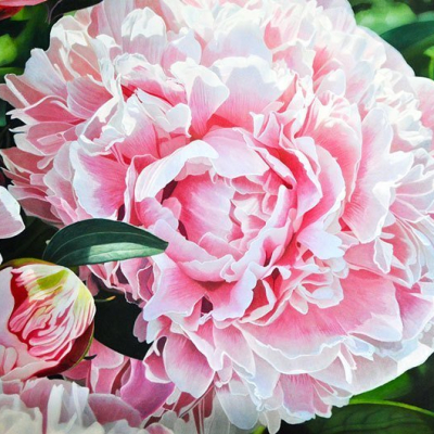 “Peonies”